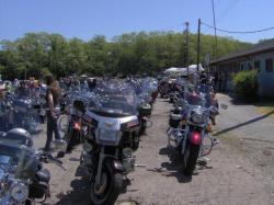 Ride_for_Pets_2011_001_op_640x480